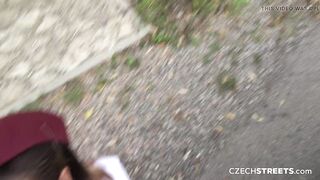 Airport Pickup Gone Wrong (Czech Streets)