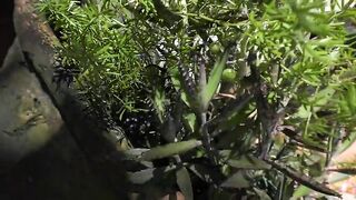 It's impossible share a bath with a woman without kiss her