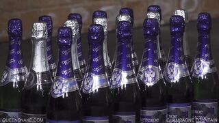 Champagne Fountain - Queensnake.com - Queensect.com