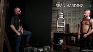 Homo anal sex - BAREBACK!
