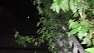 Sex in the Park with Rosalina Love