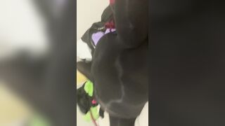 Shiny Encased Orgasms