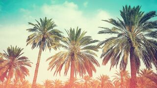 OMG! Permeated underneath petticoat in the town bus! Bawdy dream number 1! Fingers stranger below petticoat