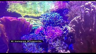 "The Lascivious One" - Porn Story Audio