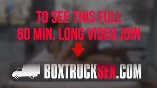 Hotties Sweet Cat & Angel Wicky are playing with each other