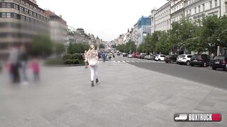 Hotties Sweet Cat & Angel Wicky are playing with each other