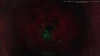 B019 Lengthy Episode with Plot Stud Shrunk and Stuffed Into Asshole Rectum in Vivo View POV