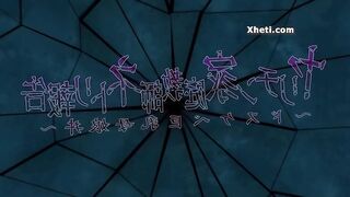 Manga Anime, Animated porn