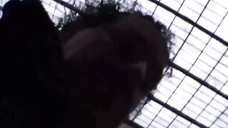 Lovers... Primedonne