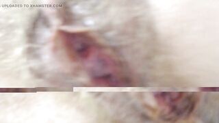 Perverse Grandstepmother
