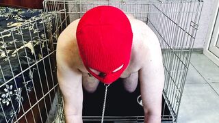 Goddess Nika allows the thrall to crawl without the cage so that this guy kisses, licks her feet, sucks her toes.