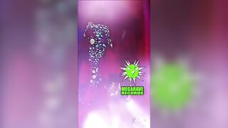 HAWT GABBA DANCE MEGARAVE 2022