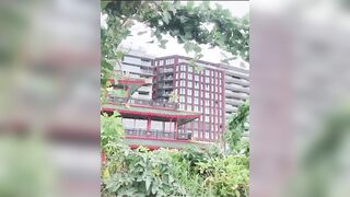 Amsterdam Netherlands Mute