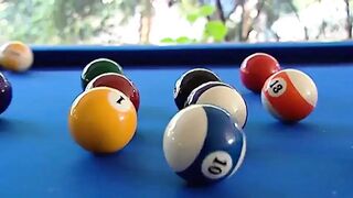 Edelweiss in a Miniskirt and Hot Shirt Strips for U During the time that Playing Pool