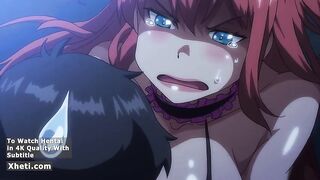 Hentai Anime, Animation porn
