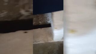 Visito la quinta NUDISTA escondida en MORENO!!! Reyna journey ????