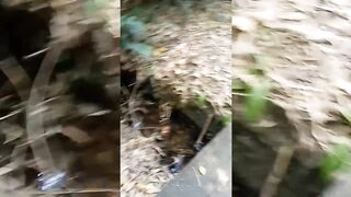 Visito la quinta NUDISTA escondida en MORENO!!! Reyna journey ????