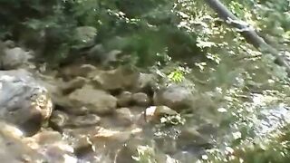 Redhead Sweetheart From French Ir Anal Permeated in Woods