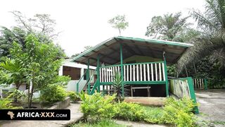 Hot rencounter in the jungle