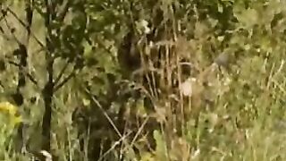 Lesbian Catches Girl In Field By twistedworlds