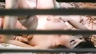 Horny Hairy Lesbians Muff Diving