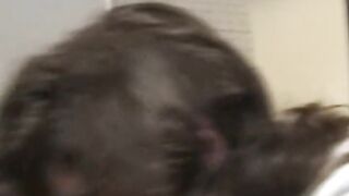 Italian Swinger Wife Screaming Sex