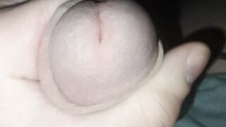 Large Excited Weenie Tease