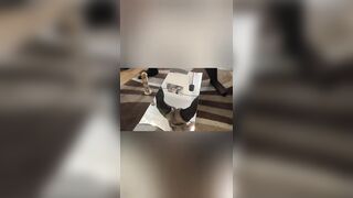 Mandy Foxxx Large Butt Twerking Compilation