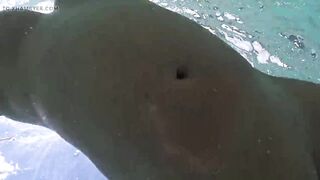 In nature's garb mother I'd like to fuck Swimming with Anal Plug Underwater