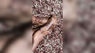 Hawt black hottie foot massage section