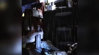 Zoological Ebony Wang