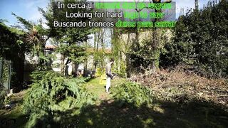 Looking for HARD TRUNKS to saw!(amateur sex in the woods)