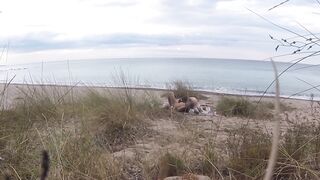 French Teacher Floozy Oral job Amateur on In nature's garb Beach Front Stranger with Ejaculation - Misscreamy