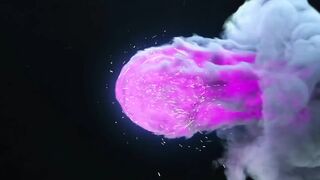 Amy Quinn - Dinner isn't willing