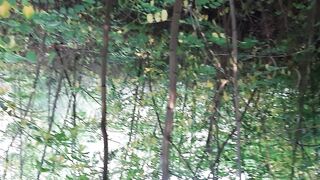 That babe licks my unshaven snatch in void urine - Lesbo_illusion