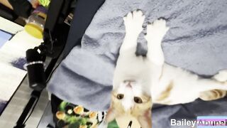 Trying to Make an Easter Clip: Behind the Carrot