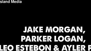 Homosexual group breeding