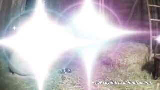 Royal Dressed Ladies