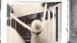 Retro Transfurlady - It Is Told That babe Is a Vamp