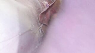 5 Banging Snatch Widen Far up Close