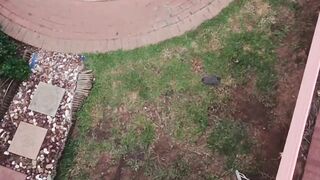 Caught My Neighbours Screwing When Flying with My Drone