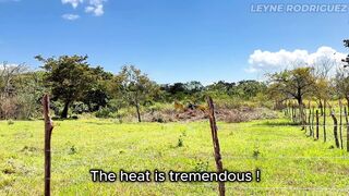 Hawt mother I'd like to fuck Despairing for Cash Gets Boned by Farmer - POV