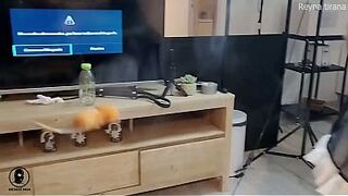 My serf behaved very well so I masturbated him until this chab came, edging, thrashing and caged sex