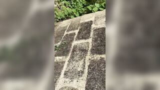 Intensive Outdoor Shoot