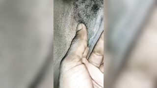 My enchanting neighbour