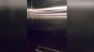 Shy Gal Gets Convinced in Elevator to Drink a Stranger's Cum