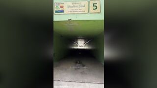 VLOG: Bare Beach in Miami with two Curvy Baddies