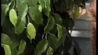 Pierced German Teen Plays with Her Vagina on Casting