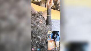 Hot Ebony Fem Wanking Penis with Spunk flow/Fleshlight Creampie