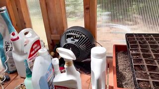 Spring Greenhouse Journey